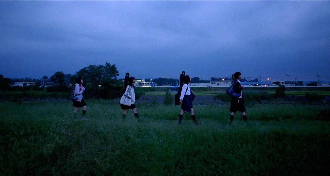 Students walking through blue evening grass